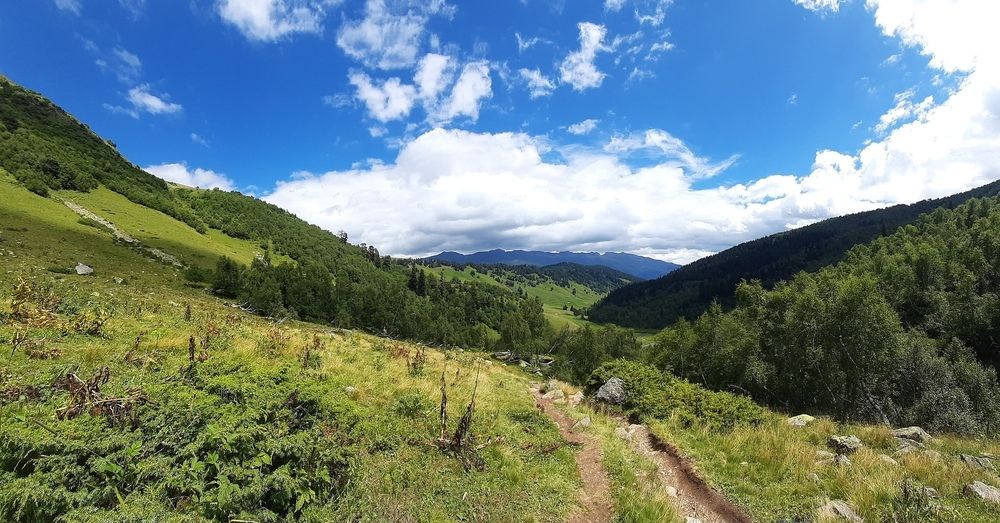 Photograph by Ирина Поваляева