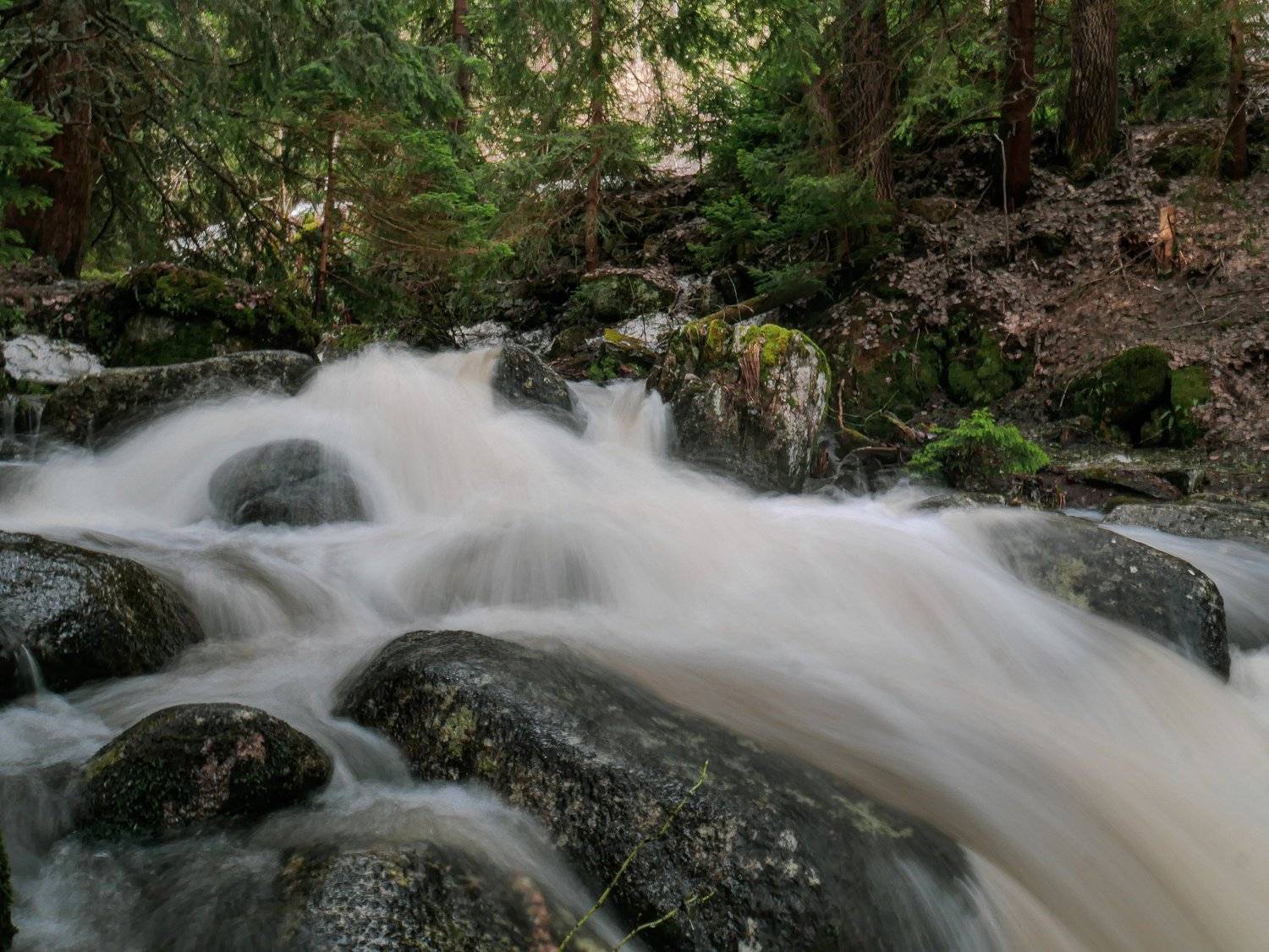Photo #6060607