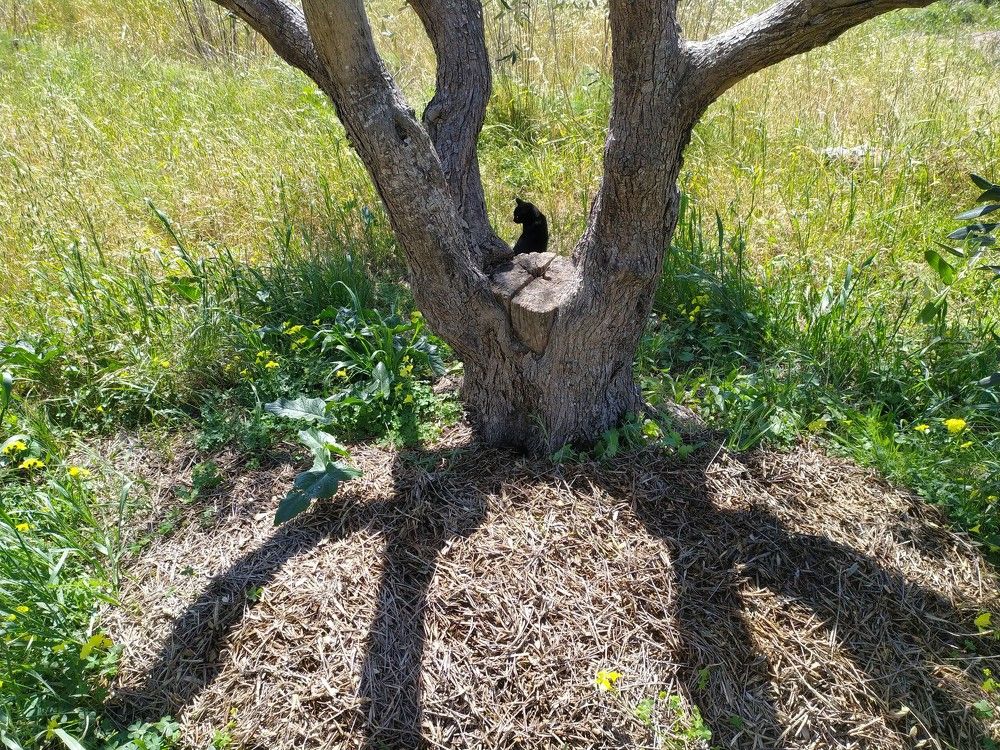 Photograph by GEORGIOS PATTAS