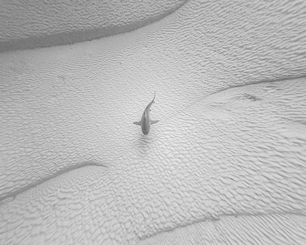 Photograph by Mizael Palomeque