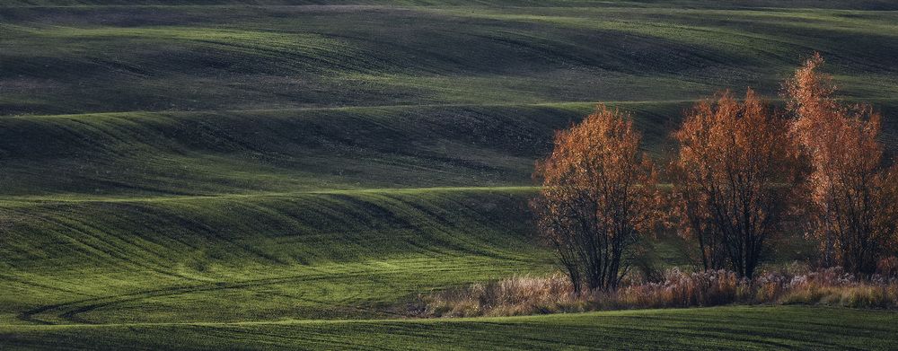 Фотография автора Анатолий Зверев