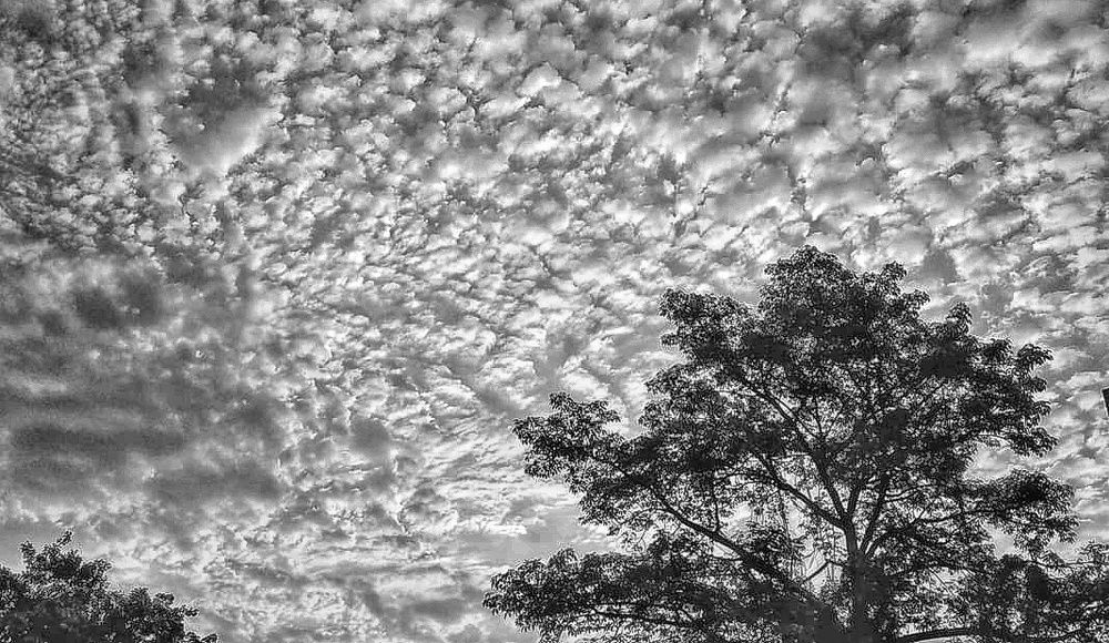 Photograph by Sumanta Dutta