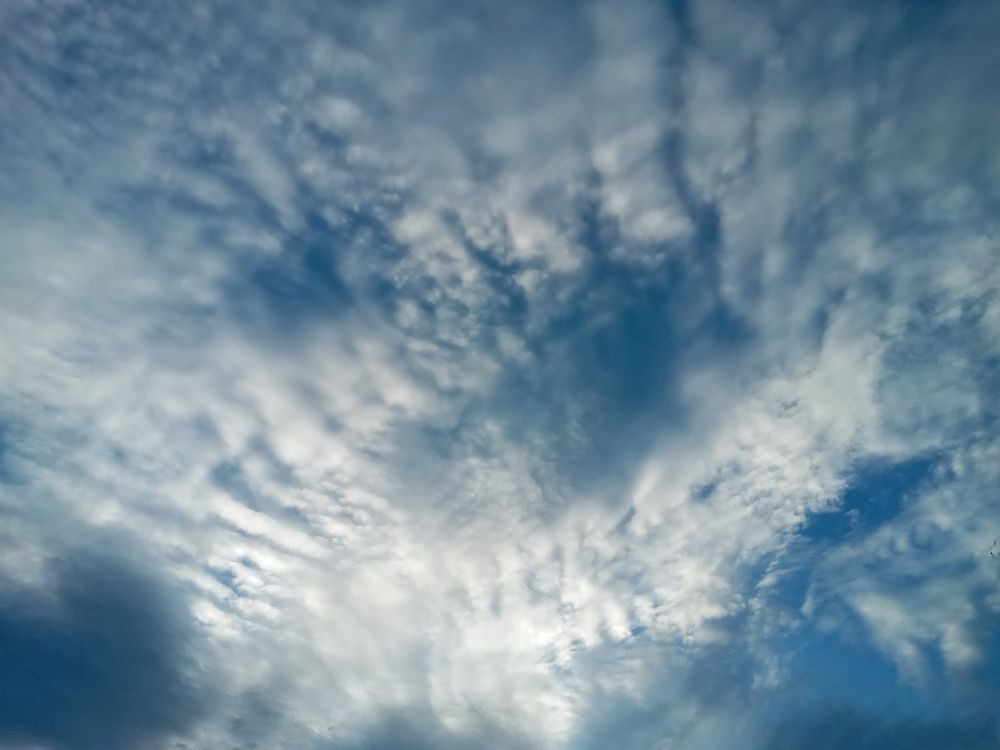 Photograph by Дарья Ващенко-Панкина