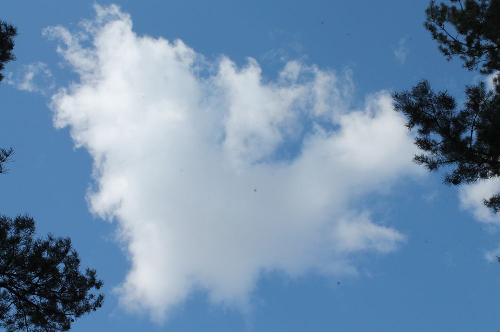 Photograph by Дарья Ващенко-Панкина