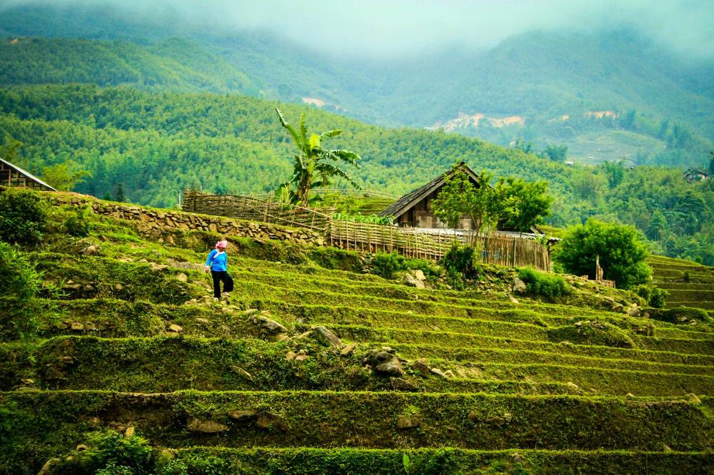 Photograph by Avi Theret