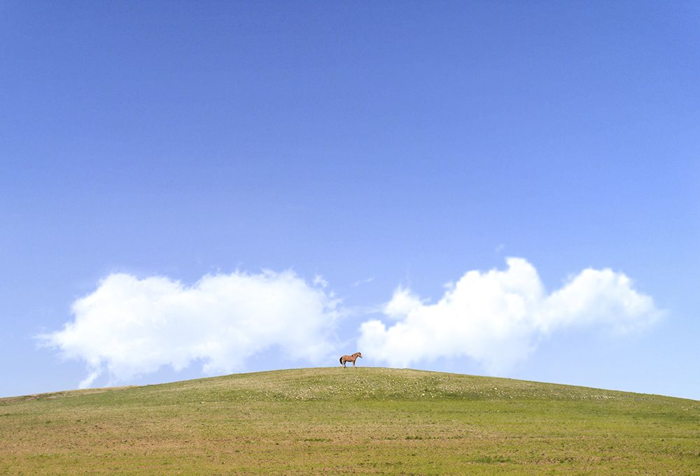 Photograph by Maryam Jafari