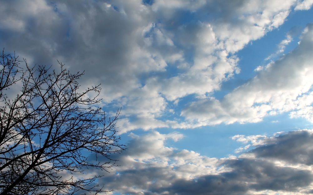 Photograph by Дарья Ващенко-Панкина