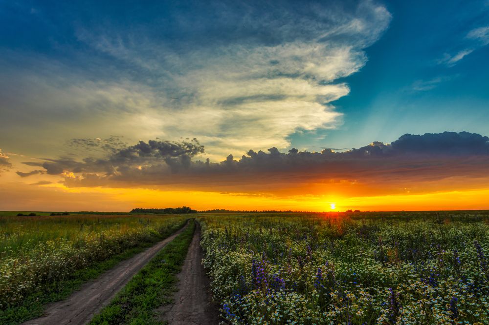 Летний закат