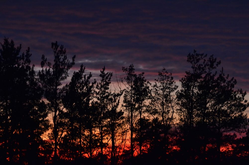 Photograph by Надежда Сабаева