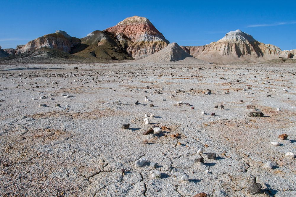 Фотография автора Юрий Литвинов