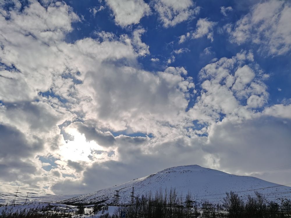 Photograph by Елена