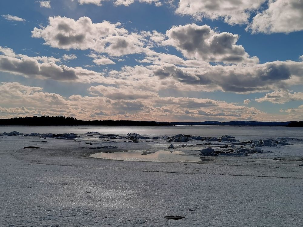 Photograph by Елена