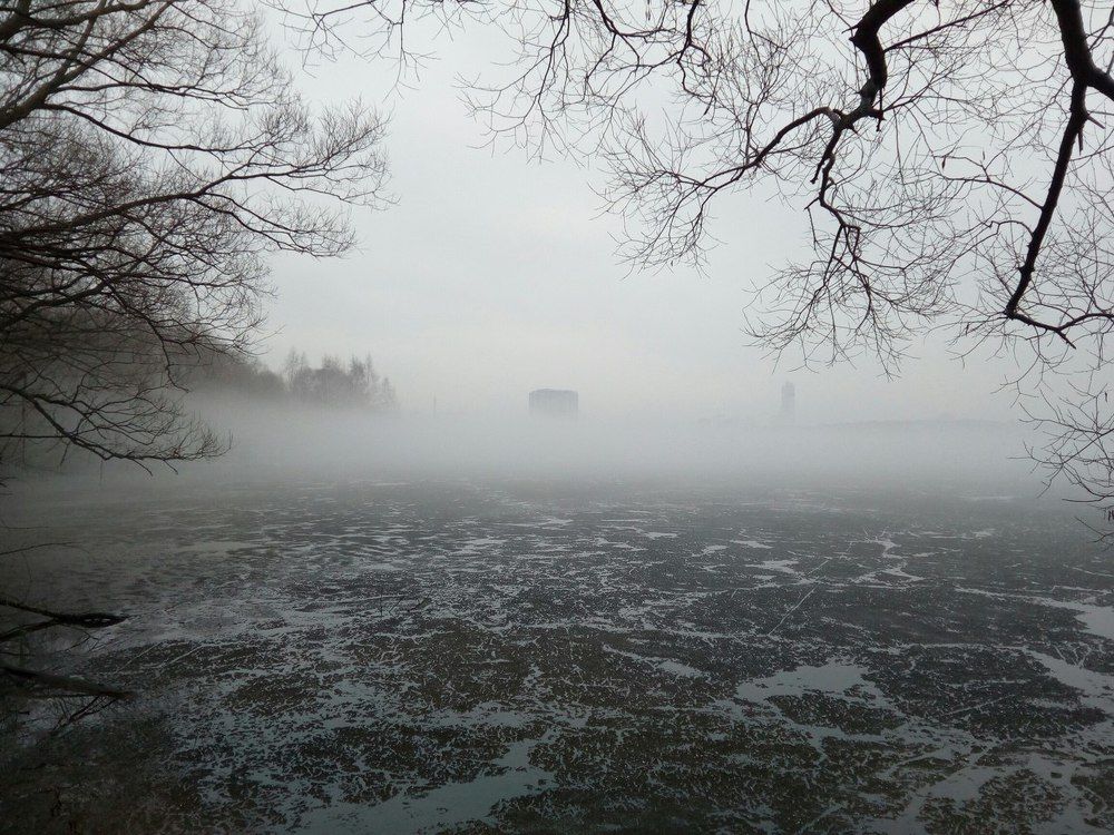 Photograph by Наталия Калюкина