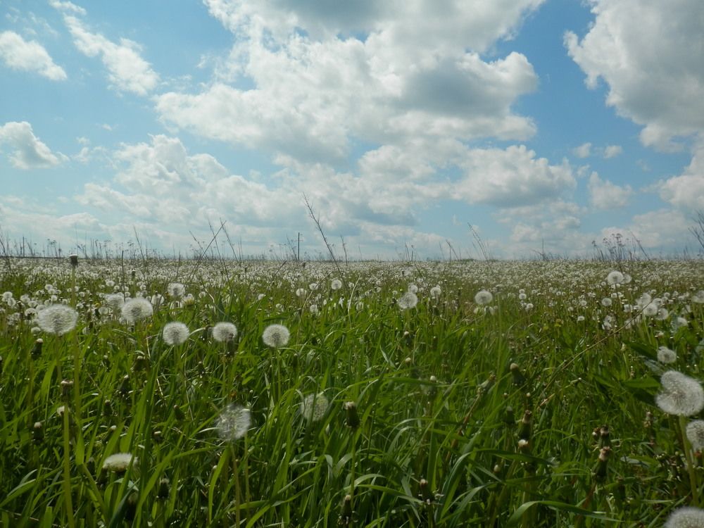 Photograph by Наталия Калюкина