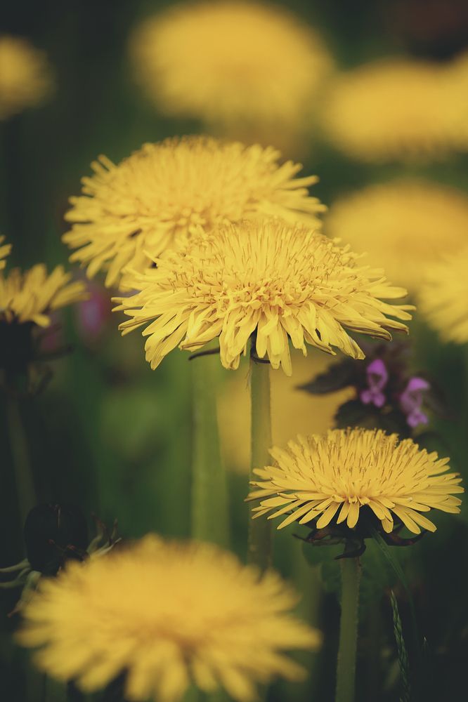 Photograph by Андрей Пожидаев