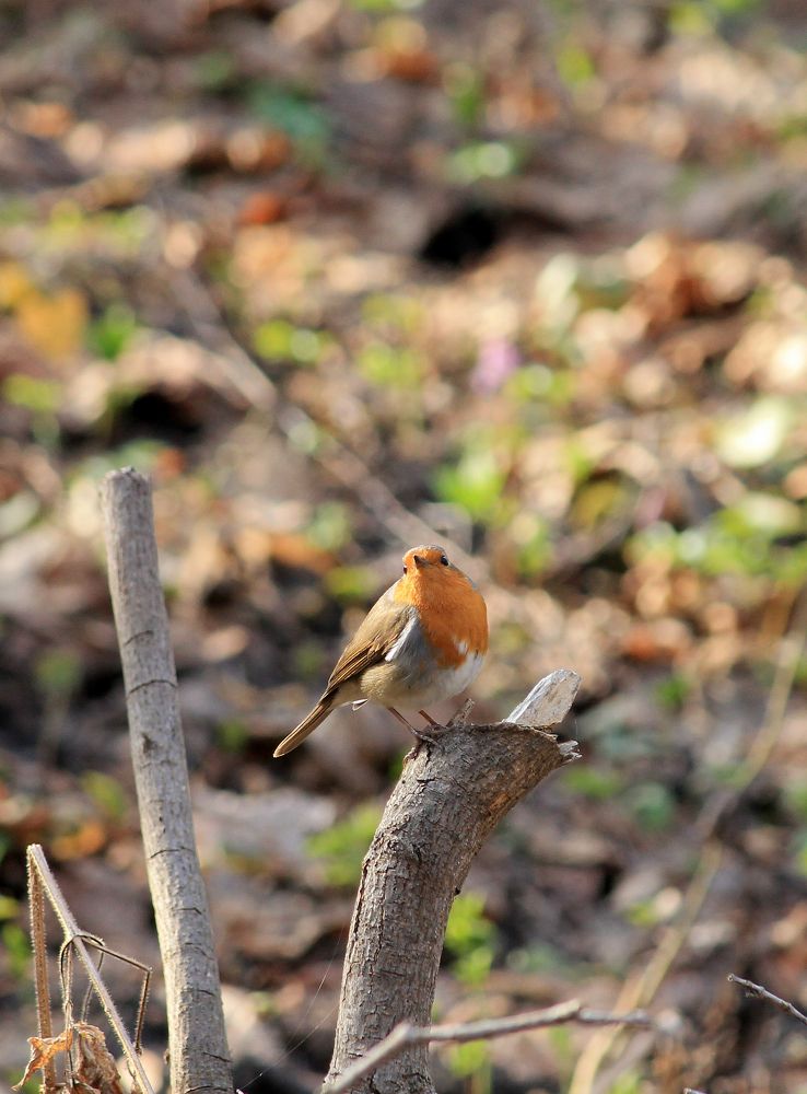 Photograph by Наталья Жигарева