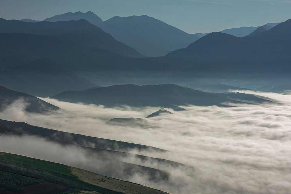 Photograph by Reza Jafari