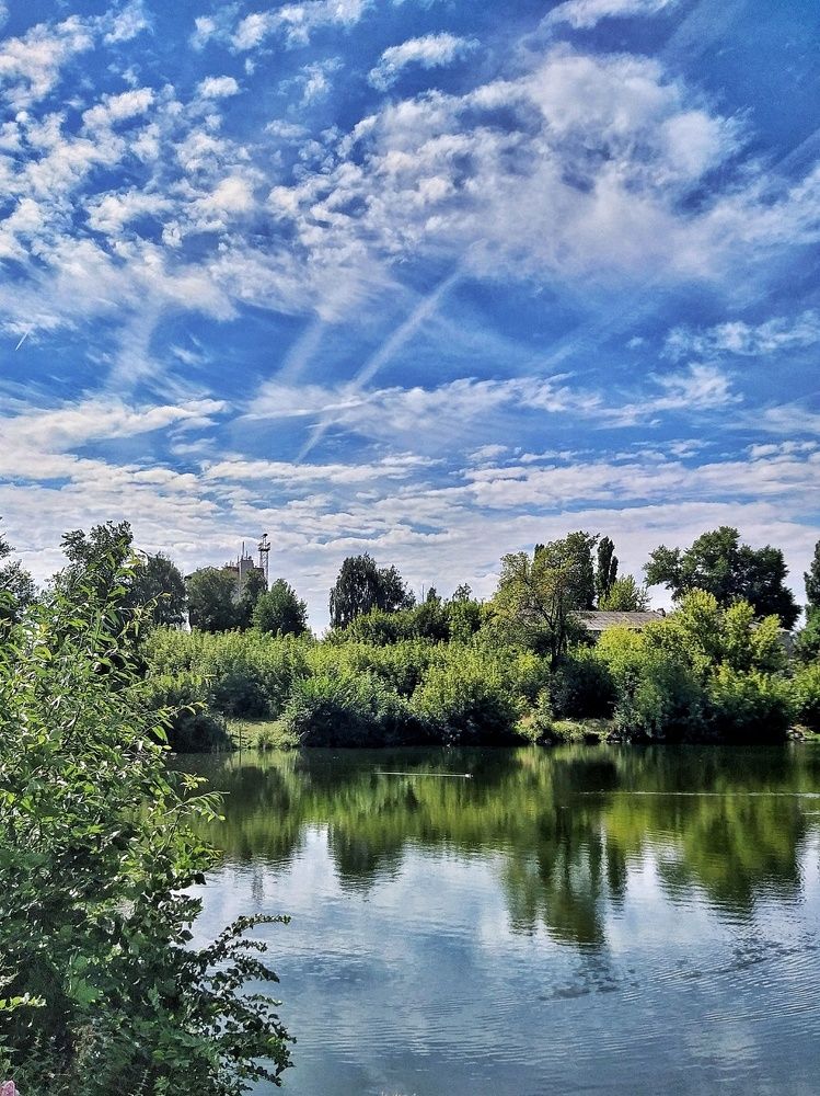 Photograph by Вера Родионова