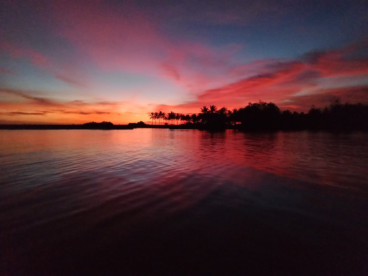 Photo #6061029