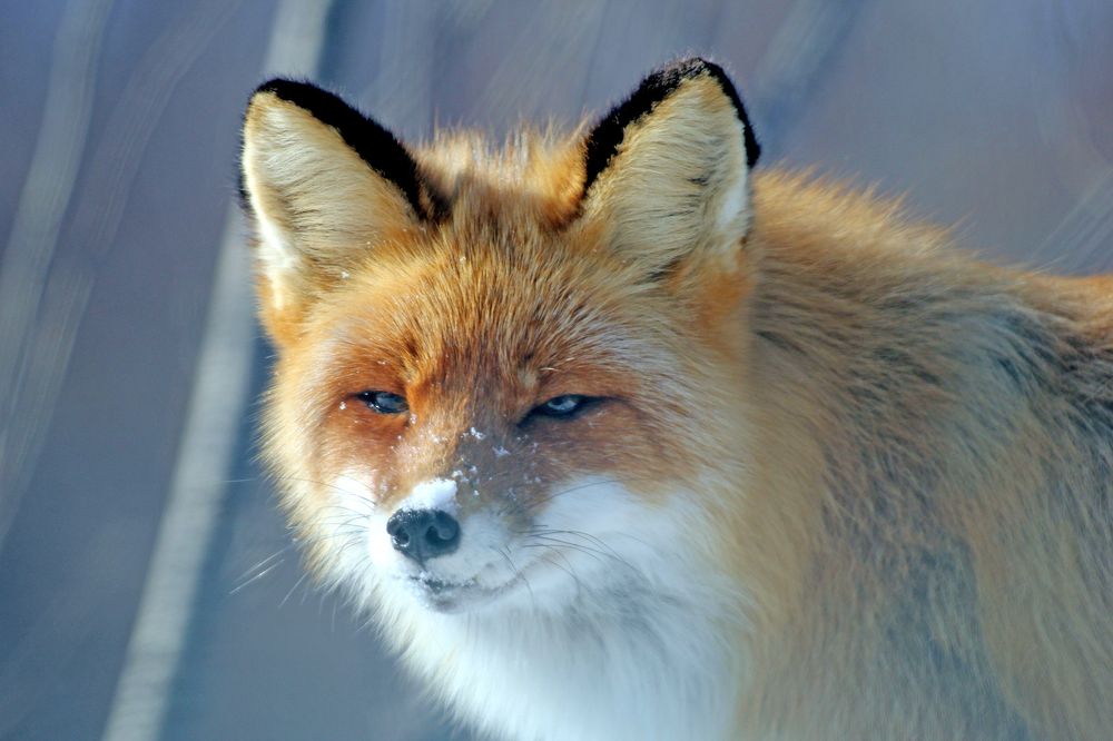 Photograph by Сергей Хитра