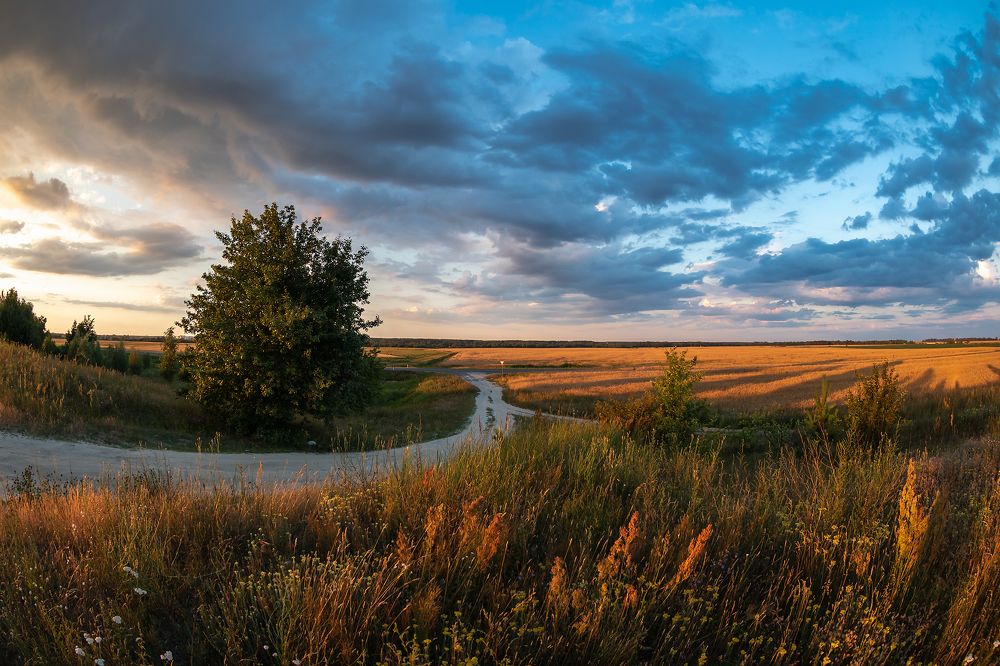 По летней дороге