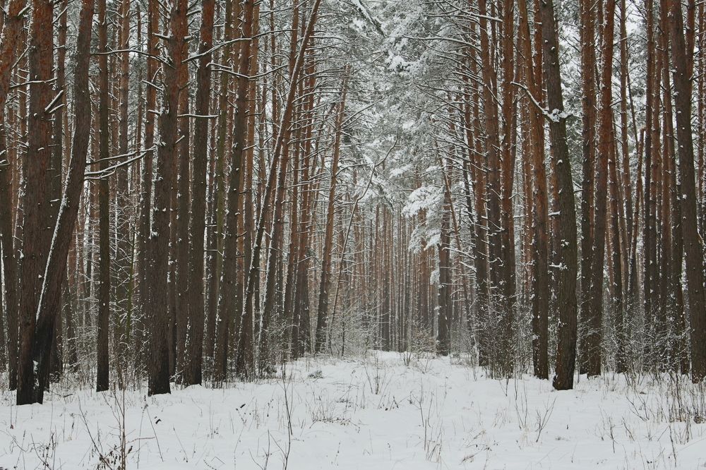 Photograph by Виталина Мельникова