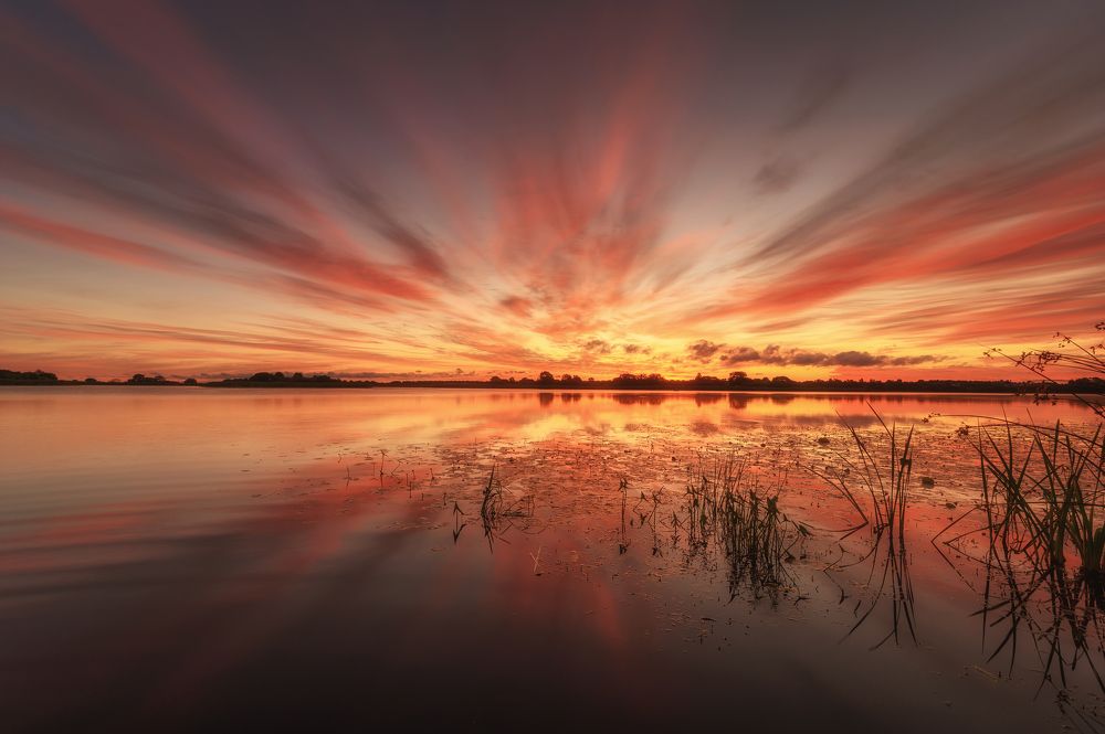 Photograph by Roman Dmitriev