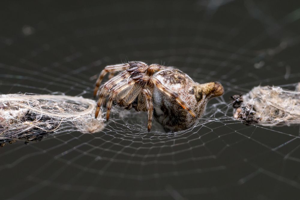 Photograph by Владимир Богданов