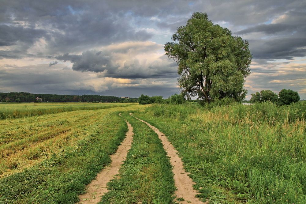 пригородный пейзаж