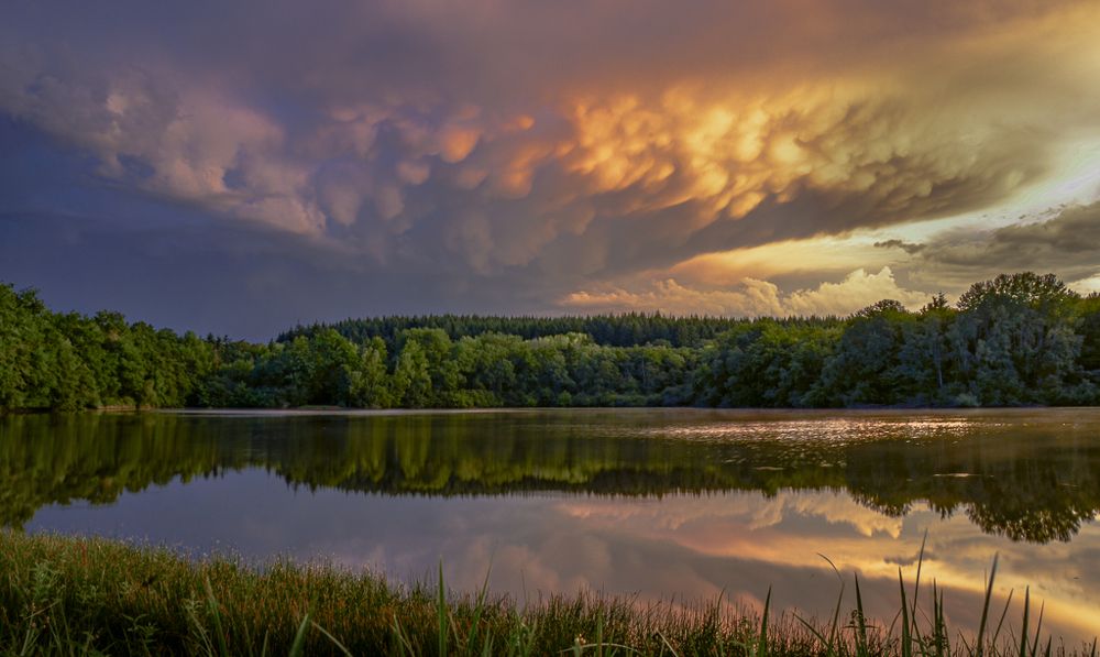 Photograph by LYUDMYLA POKRYSHEN