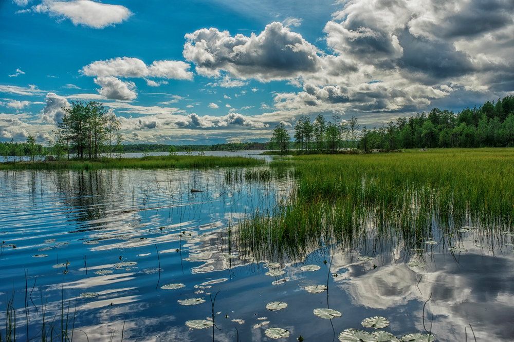 Кучевые облака