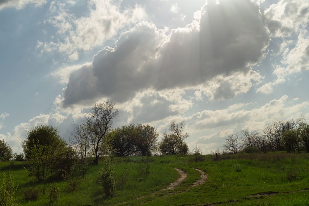 Photograph by Ариадна Подмогильная