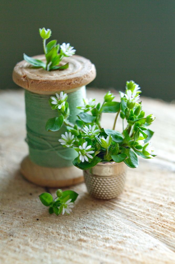 Вдохновение швеи