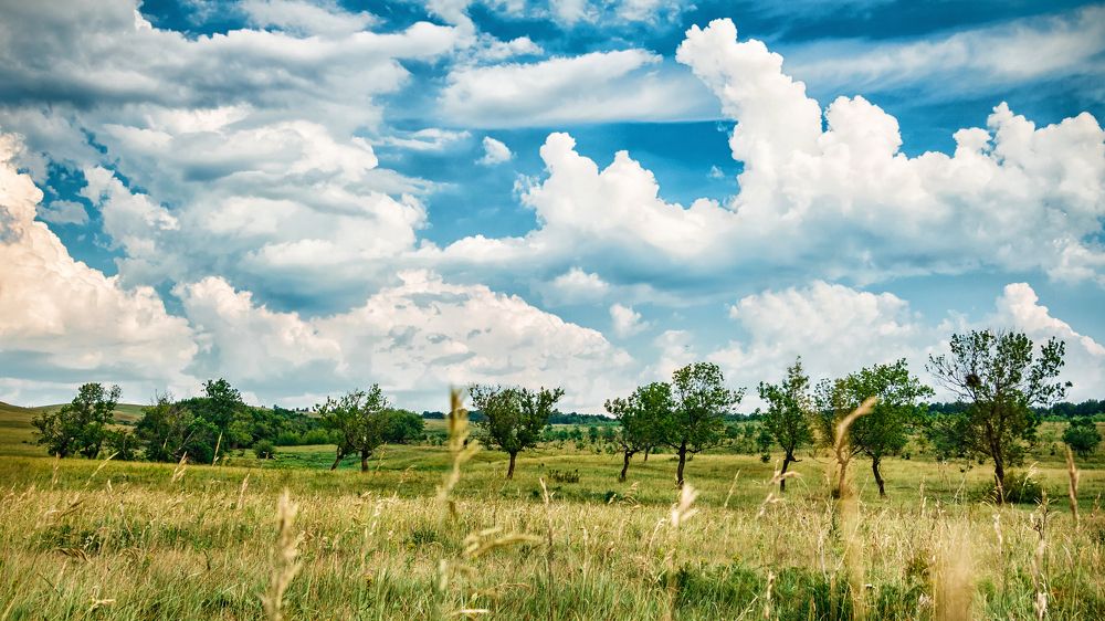 Photograph by Александр Филатов