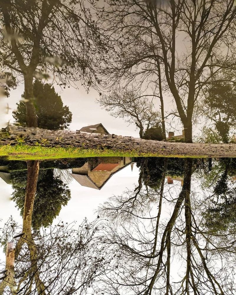 Фотография автора Elena Martynova