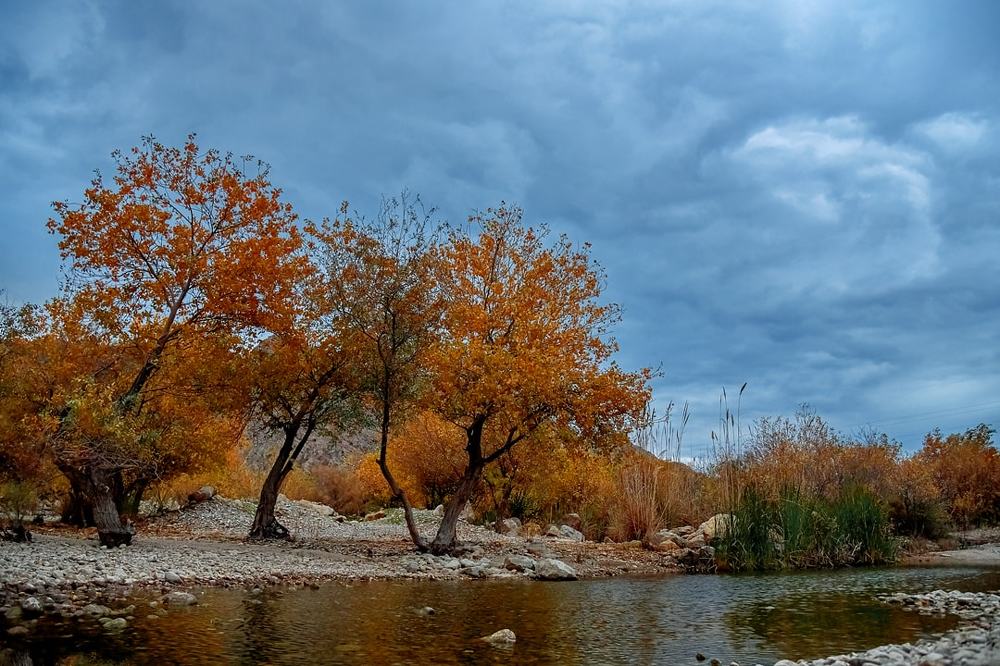 Beautiful autumn clouds