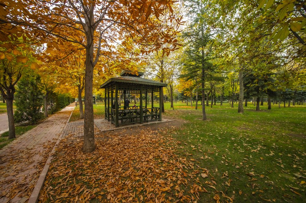 Photograph by Tahir Ceylan