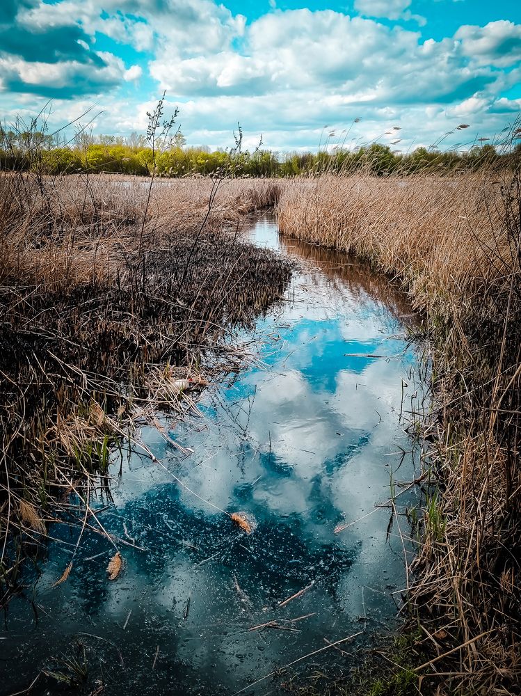 Photograph by Екатерина Максименко