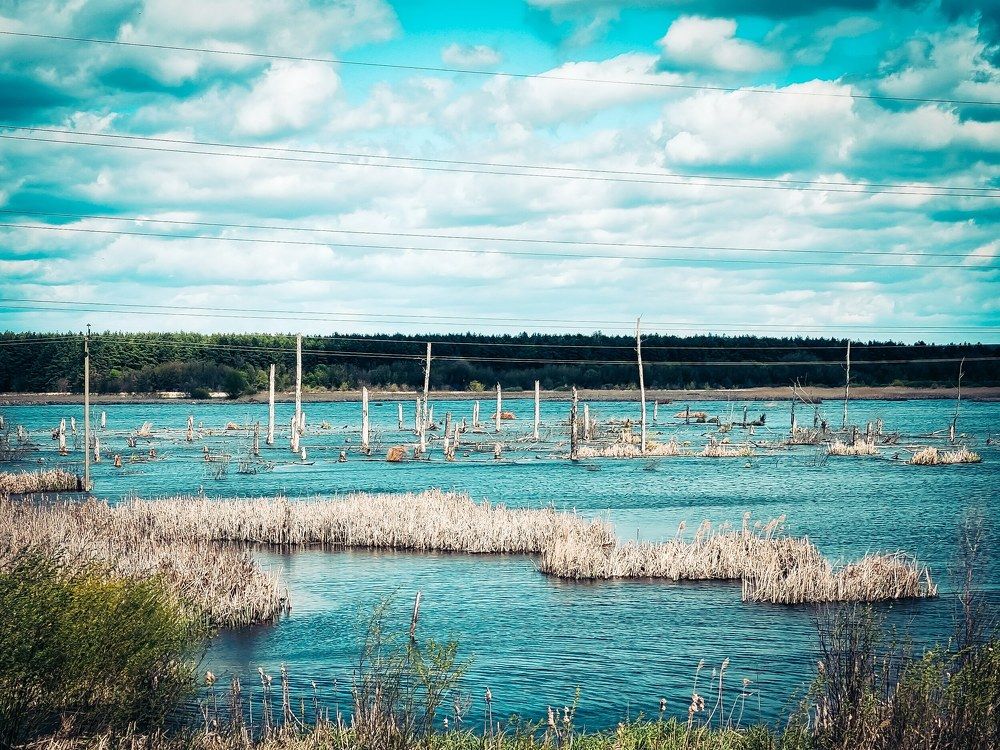 Photograph by Екатерина Максименко