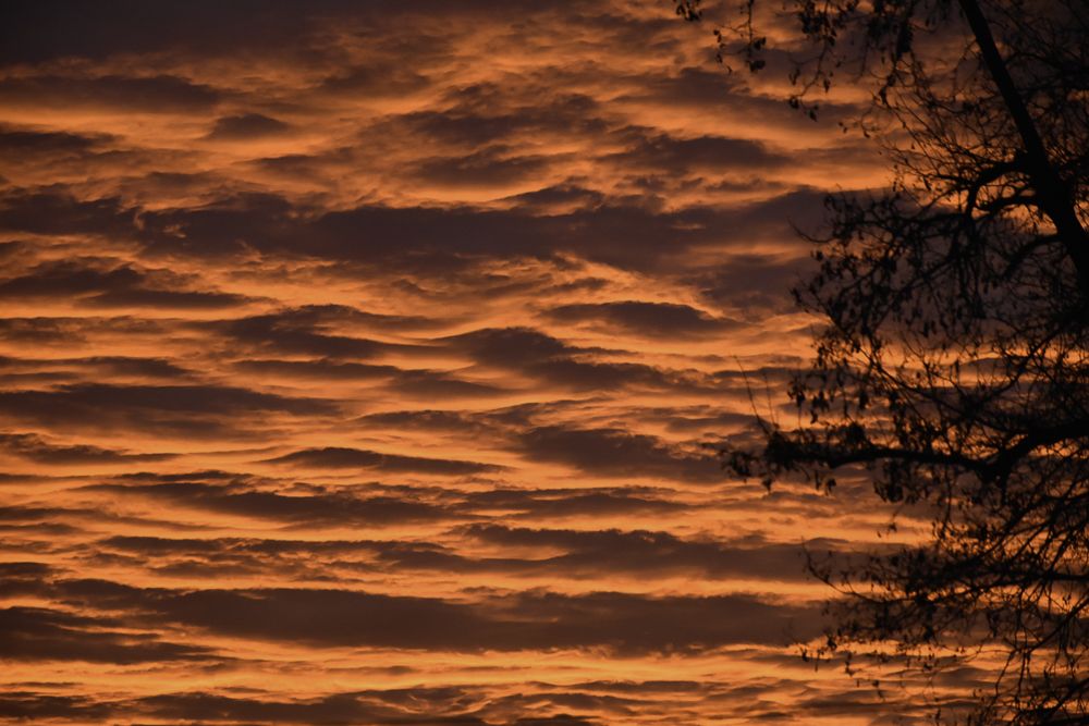 Photograph by Eduardo Vega