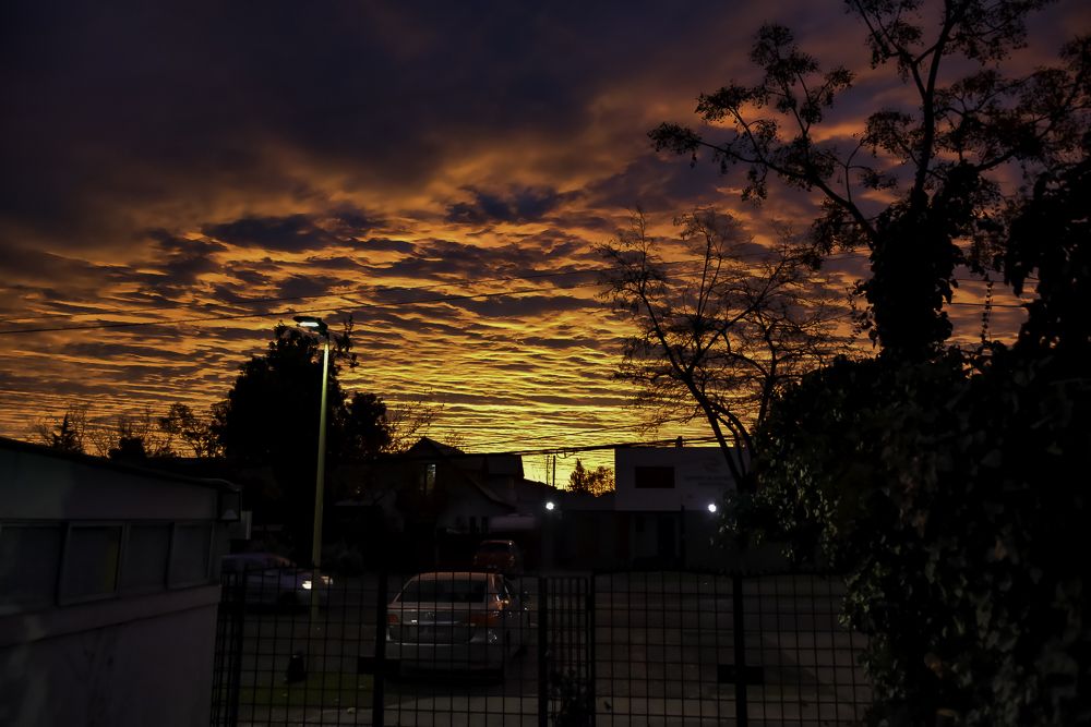 Photograph by Eduardo Vega