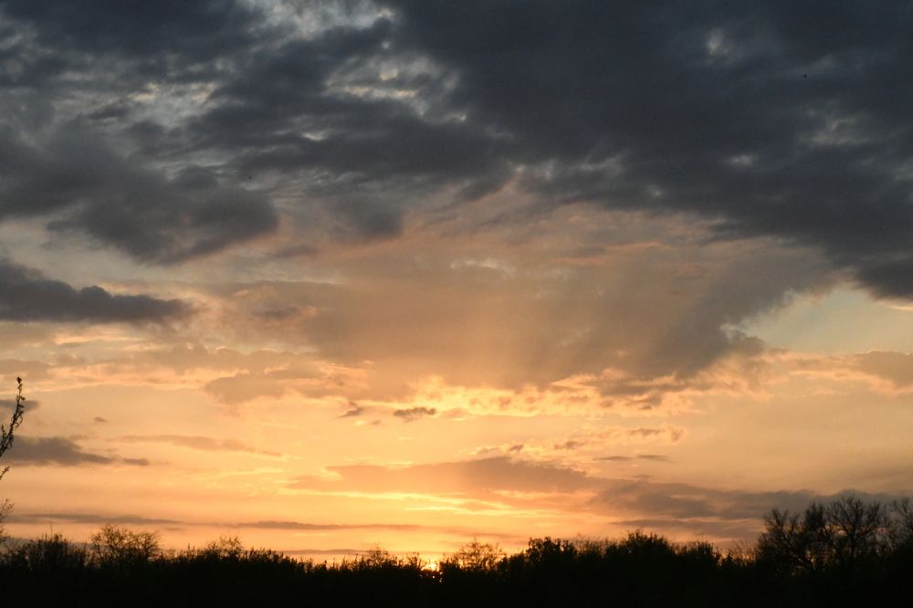 Photograph by Наталья Семенова