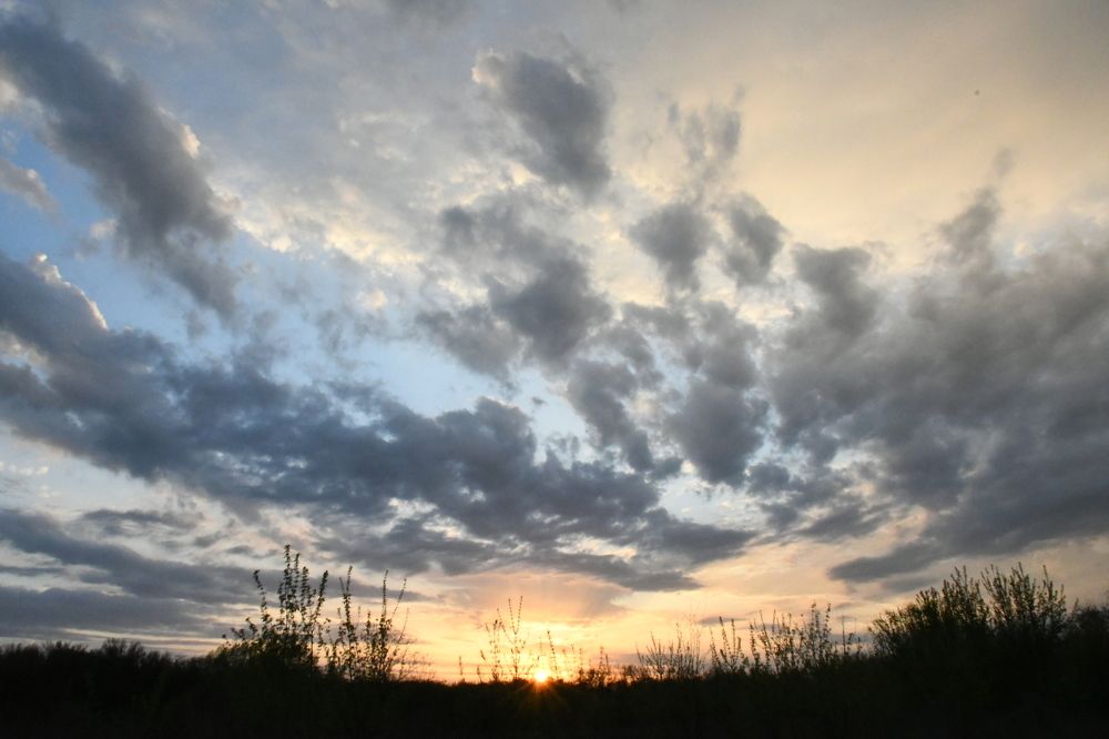 Photograph by Наталья Семенова