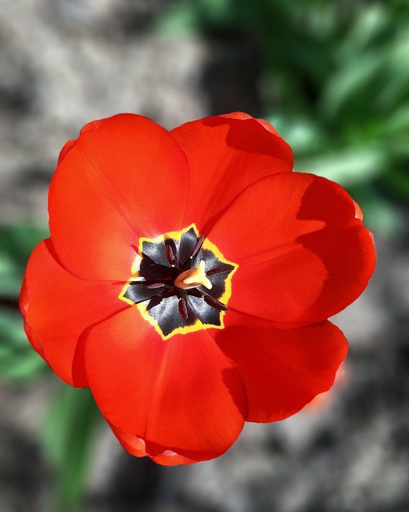 Photograph by Михаил Пасынков