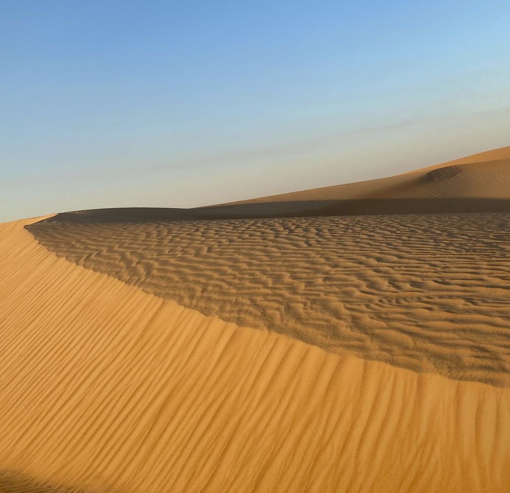 Фотография автора Vera Dobychina