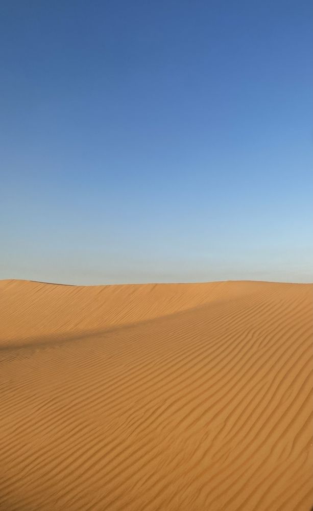 Фотография автора Vera Dobychina