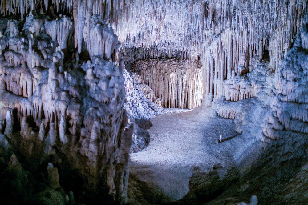 Photograph by Анастасия Ломаева