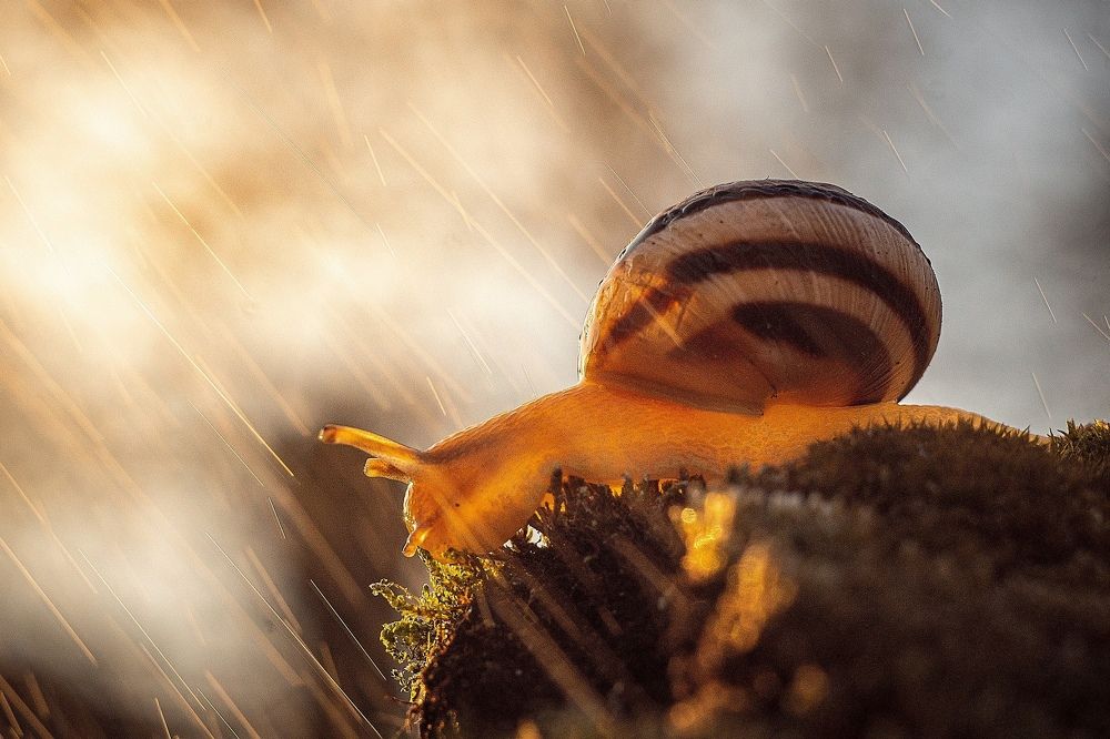 Photograph by Подгурский Фёдор