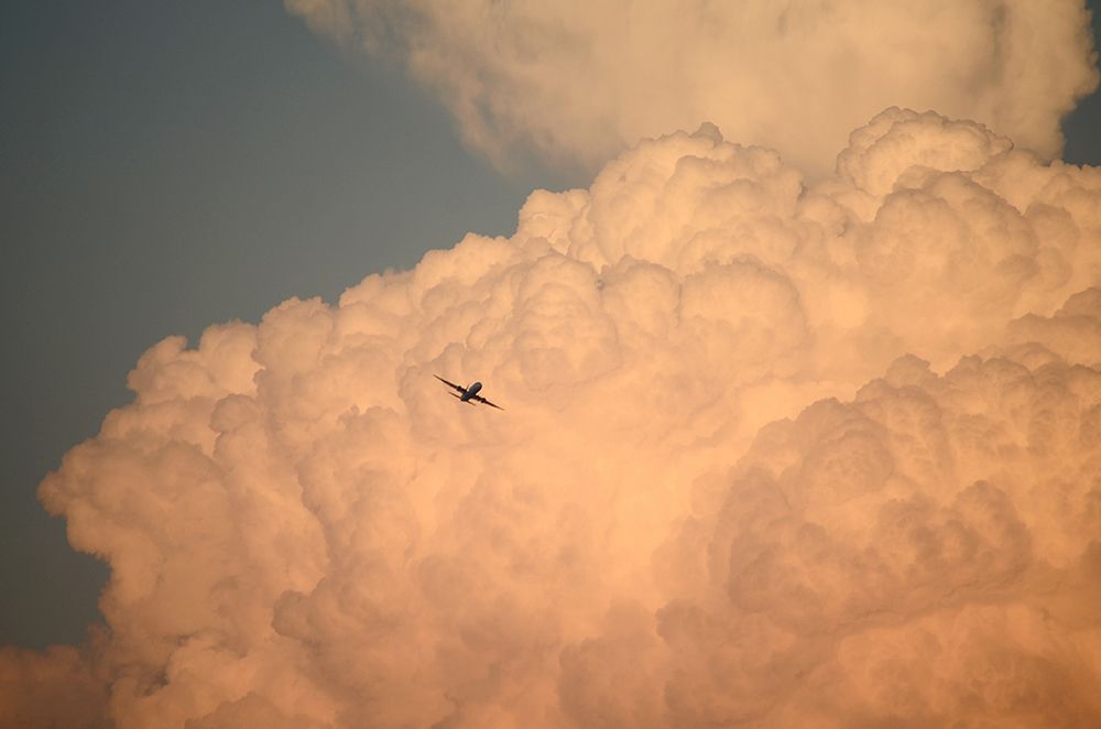 Photograph by Liliana Grup