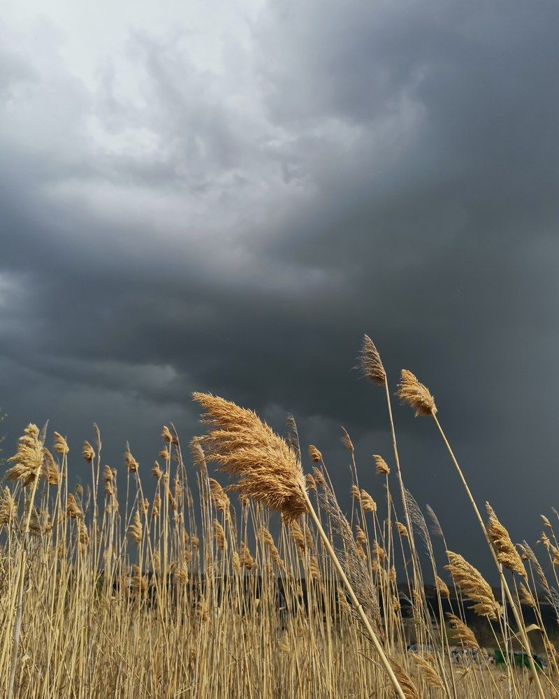 Photograph by Екатерина Шаройко